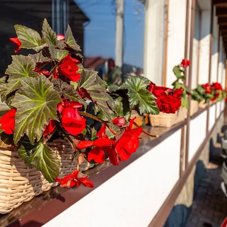 Hotel La кrechunu *